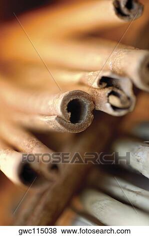 Close-up of dried sticks View Large Photo Image Stock Photo - Close-up of dried sticks. Fotosearch