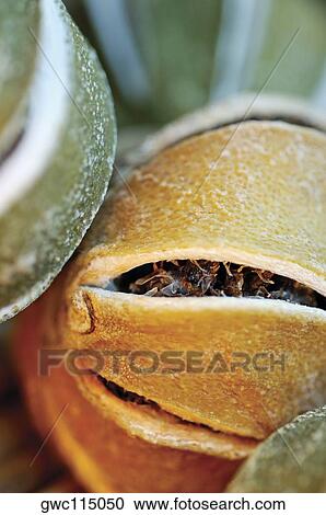 Close-up of dry fruits View Large Photo Image Stock Image - Close-up of dry fruits. Fotosearch