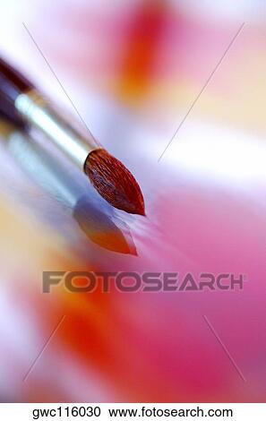 Close-up of a paintbrush View Large Photo Image Stock Image - Close-up of a paintbrush. Fotosearch