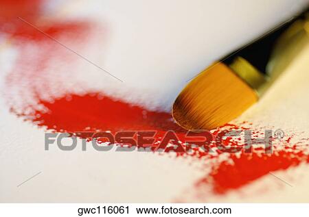 Close-up of a paintbrush View Large Photo Image Stock Image - Close-up of a paintbrush. Fotosearch