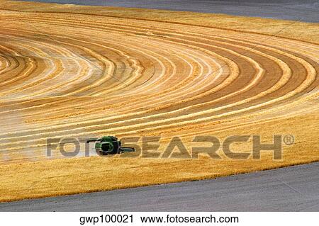 Aerial view of combine harvesting wheat field, Cheyenne, WY View Large Photo Image Stock Image - Aerial view of combine harvesting wheat field, Cheyenne, WY. Fotosearch
