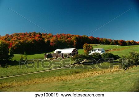 Stock Photo - Farm scene with fall foliage & clear blue sky in Caledonia county, Vermont. Fotosearch