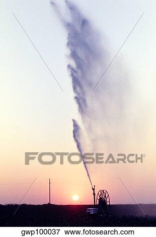 View of irrigation system for soy beans with sunset in the background, Texas View Large Photo Image Stock Photo - View of irrigation system for soy beans with sunset in the background, Texas. Fotosearch