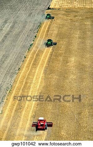 Stock Image - Aerial view of whet harvest in Burlington with combines. Fotosearch
