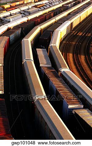 Freight Cars in Baltimore Rail Yard, Maryland View Large Photo Image Stock Photo - Freight Cars in Baltimore Rail Yard, Maryland. Fotosearch