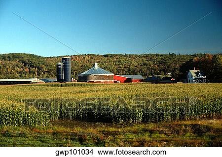 Round barn with clear blue sky in the background near Wells River, Vermont View Large Photo Image Picture - Round barn with clear blue sky in the background near Wells River, Vermont. Fotosearch