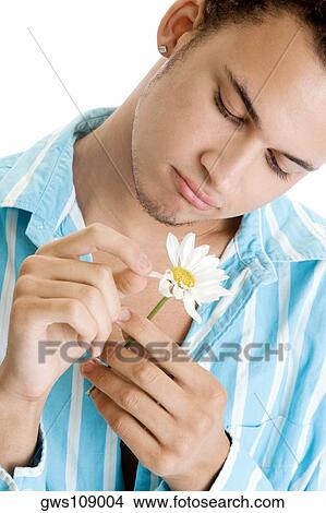 Picture - Close-up of a young man plucking flower petals. Fotosearch