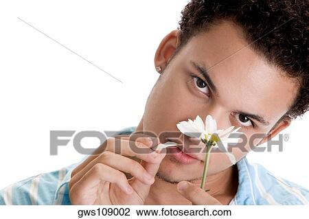 Portrait of a young man plucking petals of a flower View Large Photo Image Stock Image - Portrait of a young man plucking petals of a flower. Fotosearch