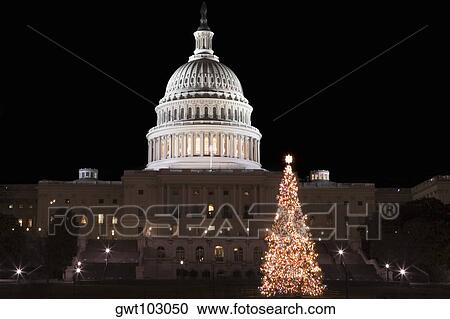 Government building lit up at night, Capitol Building, Washington DC, USA View Large Photo Image Stock Image - Government building lit up at night, Capitol Building, Washington DC, USA. Fotosearch