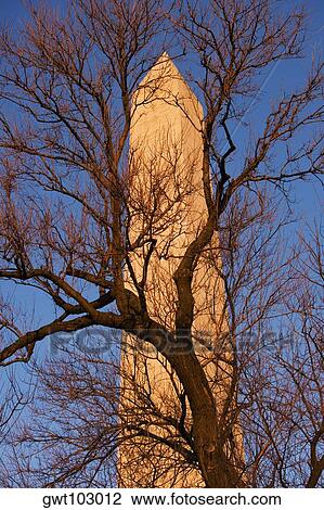 Stock Image - Low angle view of a tower, Washington Monument, Washington DC, USA. Fotosearch