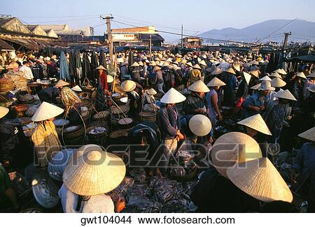 Fish market, Danang, Vietnam View Large Photo Image Picture - Fish market, Danang, Vietnam. Fotosearch