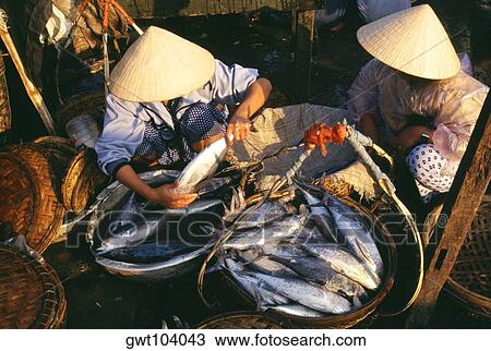 Fish market, Danang, Vietnam View Large Photo Image Stock Image - Fish market, Danang, Vietnam. Fotosearch