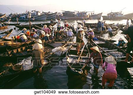 Fish market, Danang, Vietnam View Large Photo Image Stock Photo - Fish market, Danang, Vietnam. Fotosearch