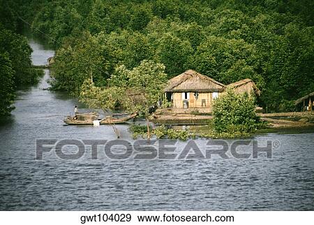 Stock Photo - River bank in the Saigon River Delta, Vietnam. Fotosearch