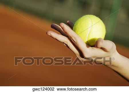 Close-up of a person's hand holding a tennis ball View Large Photo Image Stock Image - Close-up of a person's hand holding a tennis ball. Fotosearch