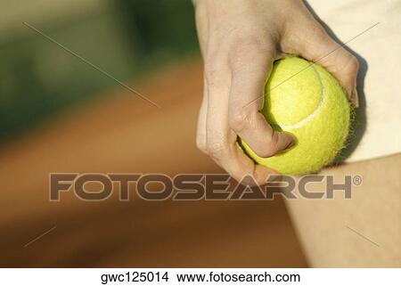 Close-up of a person's hand holding a tennis ball View Large Photo Image Picture - Close-up of a person's hand holding a tennis ball. Fotosearch