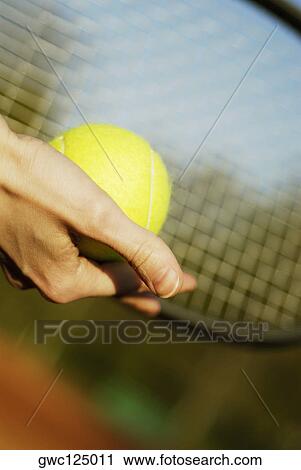 Stock Image - Close-up of a person's hand holding a tennis ball. Fotosearch