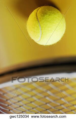 Close-up of a tennis ball and a tennis racket View Large Photo Image Picture - Close-up of a tennis ball and a tennis racket. Fotosearch