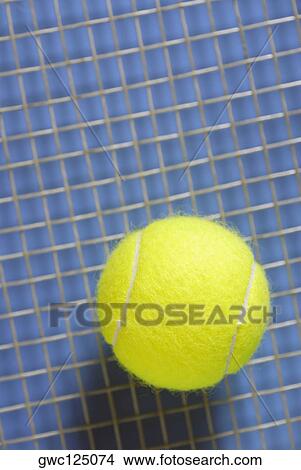 Close-up of a tennis ball and a tennis racket View Large Photo Image Picture - Close-up of a tennis ball and a tennis racket. Fotosearch