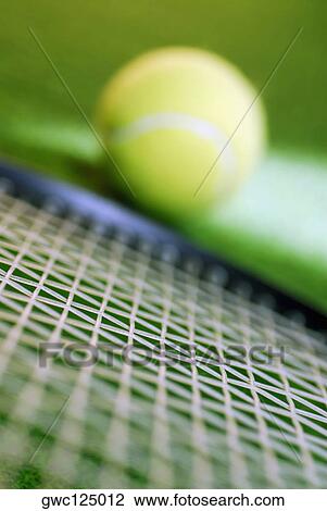 Close-up of a tennis racket and a tennis ball View Large Photo Image Stock Image - Close-up of a tennis racket and a tennis ball. Fotosearch