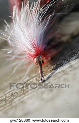 Close-up of a fishing lure View Large Photo Image Stock Image - Close-up of a fishing lure. Fotosearch