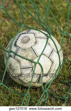 Close-up of a soccer ball in a net View Large Photo Image Stock Photograph - Close-up of a soccer ball in a net. Fotosearch