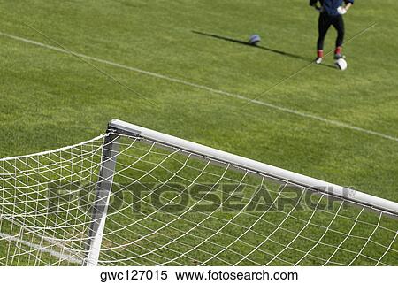 High angle view of soccer field and a goalie with a soccer ball View Large Photo Image Stock Photography - High angle view of soccer field and a goalie with a soccer ball. Fotosearch