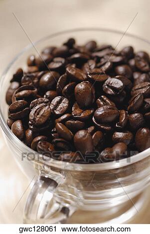 High angle view of coffee beans in a cup View Large Photo Image Stock Image - High angle view of coffee beans in a cup. Fotosearch
