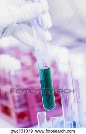 Close-up of a person's hand holding a test tube View Large Photo Image Stock Photo - Close-up of a person's hand holding a test tube. Fotosearch