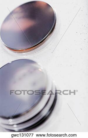 Close-up of two Petri dishes View Large Photo Image Stock Photo - Close-up of two Petri dishes. Fotosearch