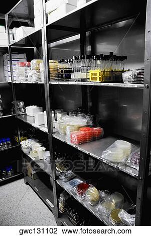 Stock Image - Laboratory equipment on shelves. Fotosearch