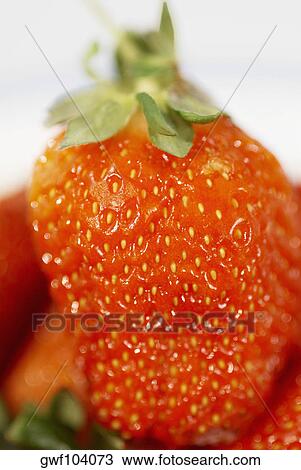 Close-up of a strawberry View Large Photo Image Stock Image - Close-up of a strawberry. Fotosearch