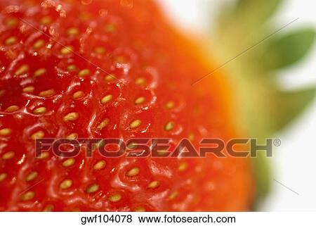 Close-up of a strawberry View Large Photo Image Stock Photo - Close-up of a strawberry. Fotosearch