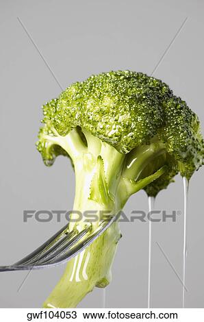 Close-up of a wet piece of broccoli on a fork View Large Photo Image Stock Image - Close-up of a wet piece of broccoli on a fork. Fotosearch
