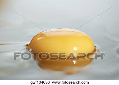 Close-up of an egg yolk View Large Photo Image Stock Photograph - Close-up of an egg yolk. Fotosearch