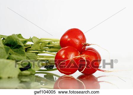 Stock Photography - Close-up of red radish. Fotosearch