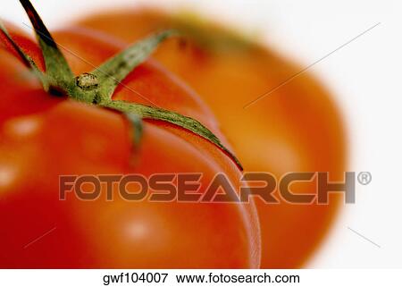 Close-up of two tomatoes View Large Photo Image Stock Photo - Close-up of two tomatoes. Fotosearch
