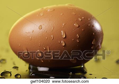 Close-up of water droplets on an egg View Large Photo Image Stock Image - Close-up of water droplets on an egg. Fotosearch