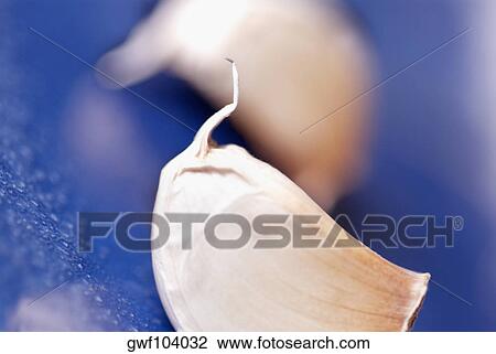 High angle view of a garlic pod View Large Photo Image Stock Image - High angle view of a garlic pod. Fotosearch