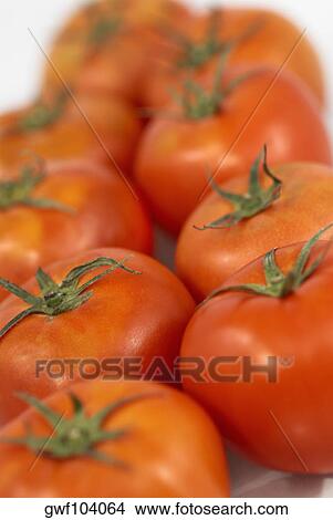 Picture - High angle view of an array of tomatoes. Fotosearch