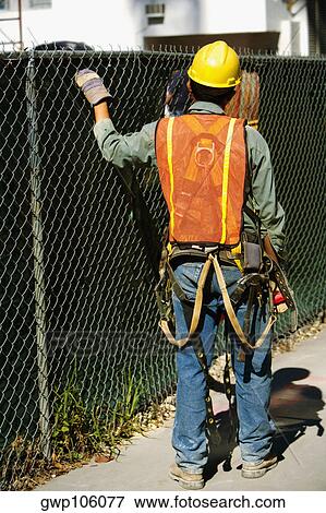 Rear view of a construction worker, Miami, Florida, USA View Large Photo Image Stock Photo - Rear view of a construction worker, Miami, Florida, USA. Fotosearch