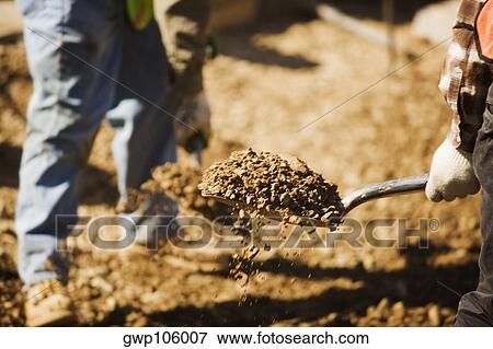 Two construction workers using shovels at a construction site View Large Photo Image Stock Photo - Two construction workers using shovels at a construction site. Fotosearch