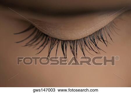 Close-up of a young woman's eyelashes View Large Photo Image Stock Image - Close-up of a young woman's eyelashes. Fotosearch