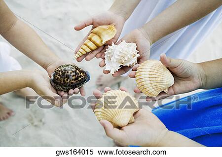 Stock Photography - Low section view of three girls holding seashells on the beach. Fotosearch