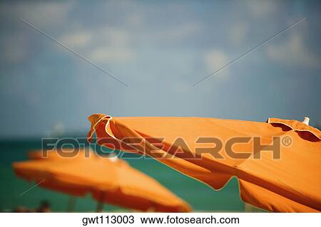 Close-up of a beach umbrella, Miami, Florida, USA View Large Photo Image Stock Image - Close-up of a beach umbrella, Miami, Florida, USA. Fotosearch