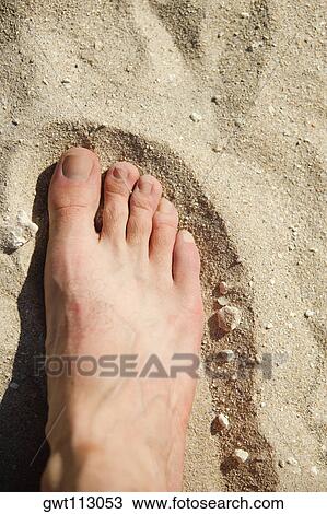 Close-up of a human foot on the sand View Large Photo Image Stock Image - Close-up of a human foot on the sand. Fotosearch
