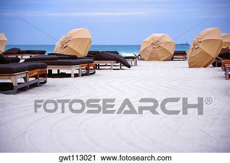 Empty beds with beach umbrellas on the beach View Large Photo Image Stock Image - Empty beds with beach umbrellas on the beach. Fotosearch