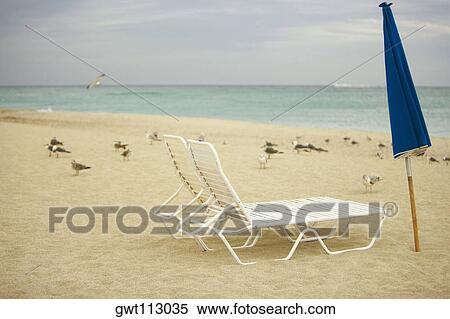 Empty lounge chair and a folded beach umbrella on the beach View Large Photo Image Stock Photography - Empty lounge chair and a folded beach umbrella on the beach. Fotosearch