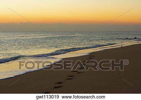 Footprints on the beach View Large Photo Image Stock Photo - Footprints on the beach. Fotosearch