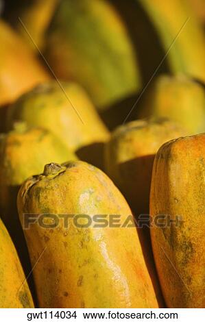 Close-up of papayas View Large Photo Image Picture - Close-up of papayas. Fotosearch